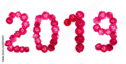 Inscription 2019 from fresh pink and red rose flowers.
Happy New Year.