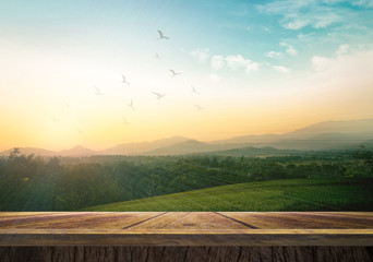 Empty wood table with mountain nature background at sunrise and flying birds for product display