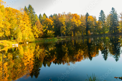 Landscape with river. Trees and bushes are reflected in water of river. Spring forest. Water surface of forest river.