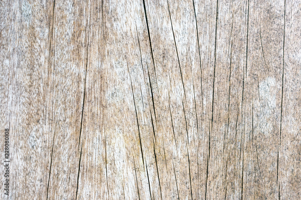 Wood surface texture background, Old white wood template vintage style. Wood surface texture background, Old white wood template vintage style.