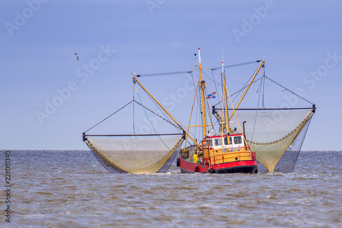 Dutch Shrimp fishing cutter vessel in action
