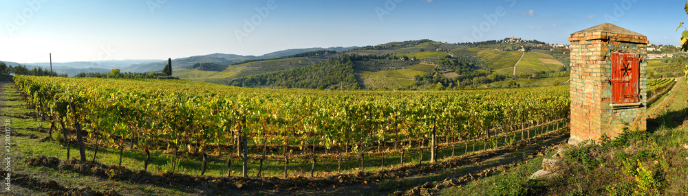beautiful Vineyards near Greve in Chianti with old water well during the autumn season. Located near Greve in Chianti, (Florence). Tuscany in Italy.
