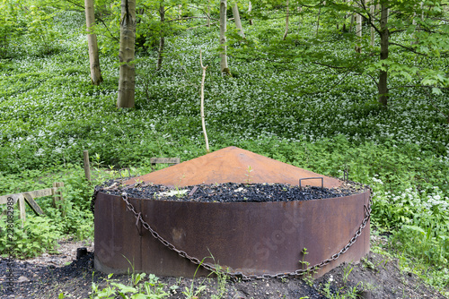 Charcoal burner and wild garlic in Millington woods photo