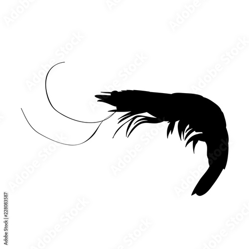 vector, on white background, shrimp black silhouette