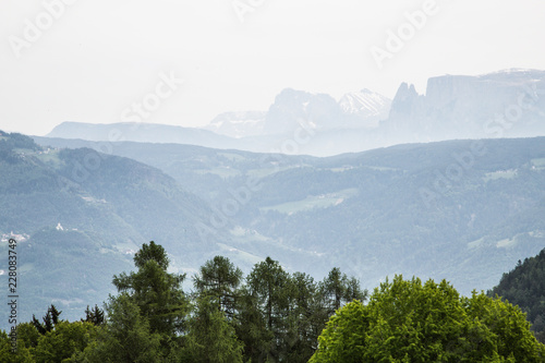 Obraz na płótnie trees in front of scenic mountainscape near Meran w salonie