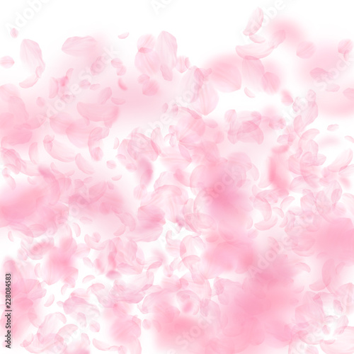 Sakura petals falling down. Romantic pink flowers gradient. Flying petals on white square background