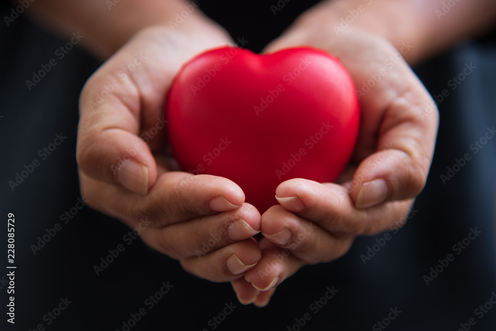 Close up hands giving red heart as heart donor. Valentine day of love concept. Medical ventilator and heart donator charity. Sign of compassion and healthy. Helping hand in freedom life donation Close up hands giving red heart as heart donor. Valentine day of love concept. Medical ventilator and heart donator charity. Sign of compassion and healthy. Helping hand in freedom life donation