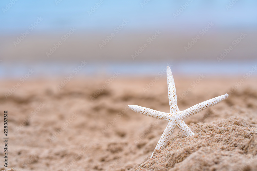 Starfish on sandy beach in summer with sea background Starfish on sandy beach in summer with sea background