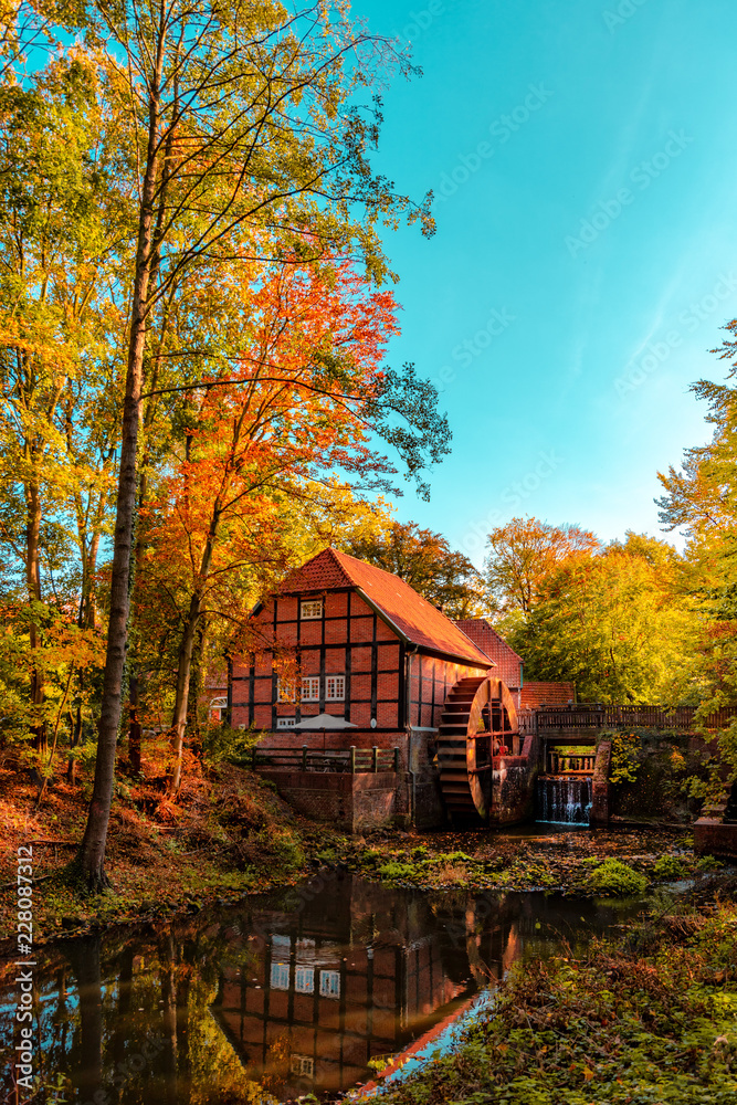 Forest in autumn and a beautiful and picturesque watermill Forest in autumn and a beautiful and picturesque watermill