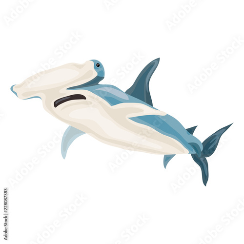 Hammerhead shark icon. Cartoon of hammerhead shark vector icon for web design isolated on white background