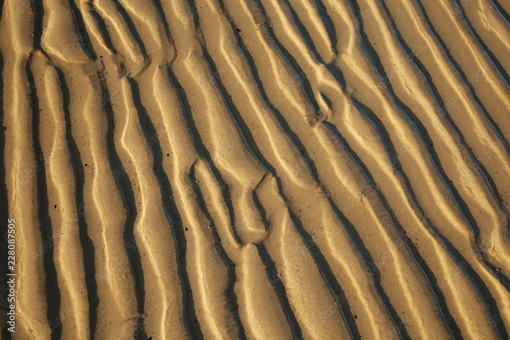 Undulations in sand on Studland beach at low tide, Dorset Undulations in sand on Studland beach at low tide, Dorset