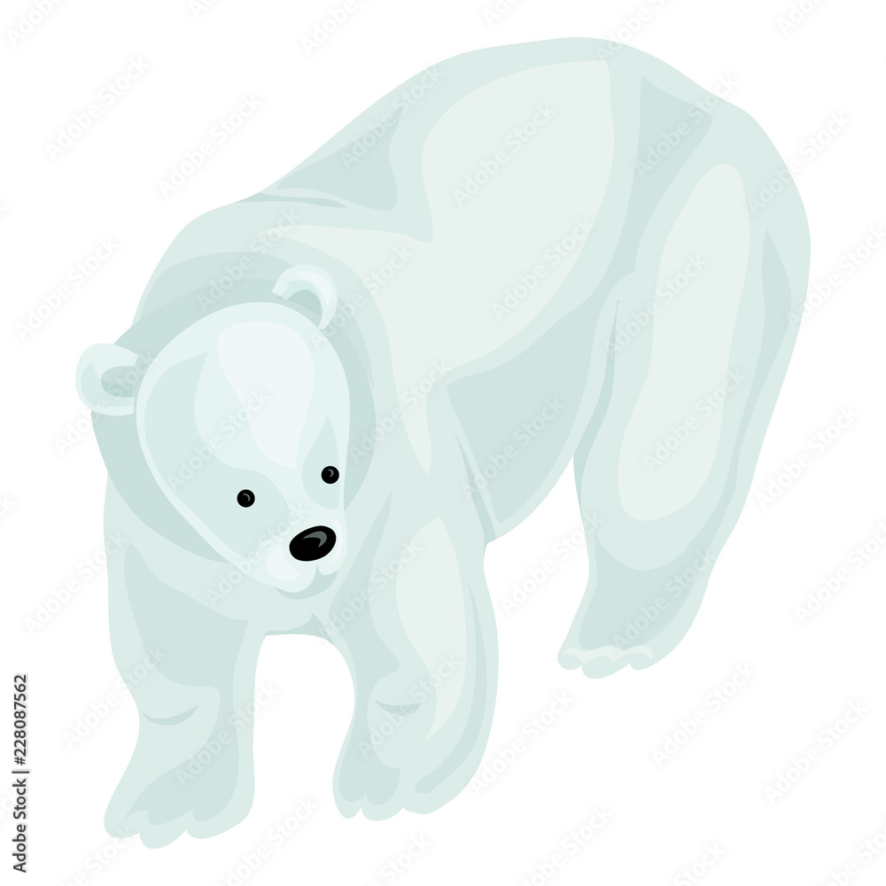 White bear icon. Cartoon of white bear vector icon for web design isolated on white background White bear icon. Cartoon of white bear vector icon for web design isolated on white background