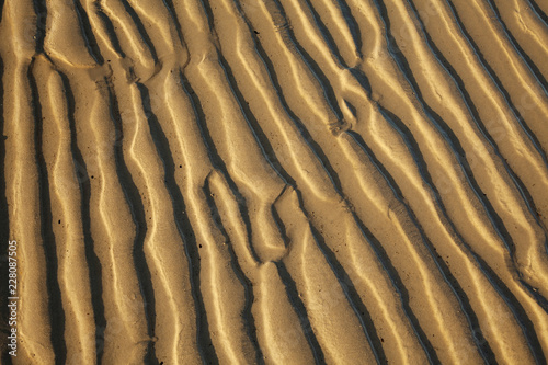 Undulations in sand on Studland beach at low tide, Dorset