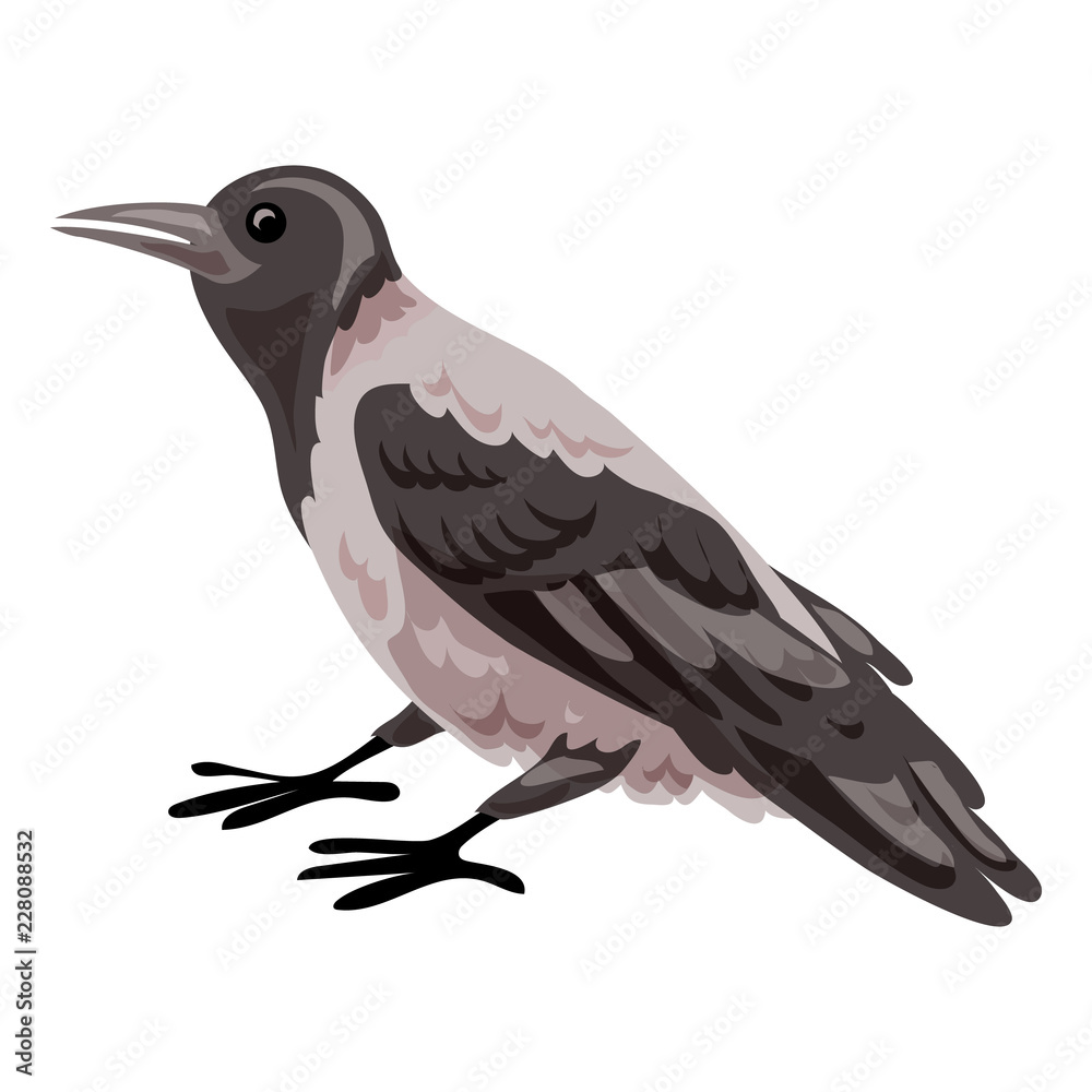 Obraz premium Crow icon. Cartoon of crow vector icon for web design isolated on white background