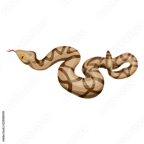 Photos Rattlesnake icon