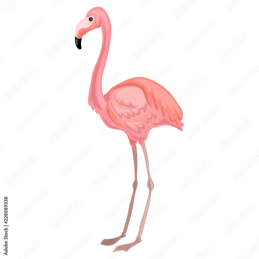 Fototapeta premium Flamingo icon. Cartoon of flamingo vector icon for web design isolated on white background