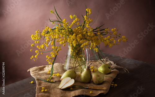Beautiful still life with a branch of mimosa and pears photo