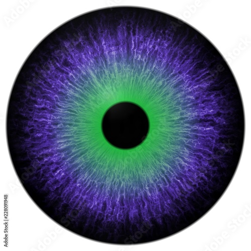 Crazy purple green eye 3d isolated white background, green round, black pupil, black fringe, beautiful viewing