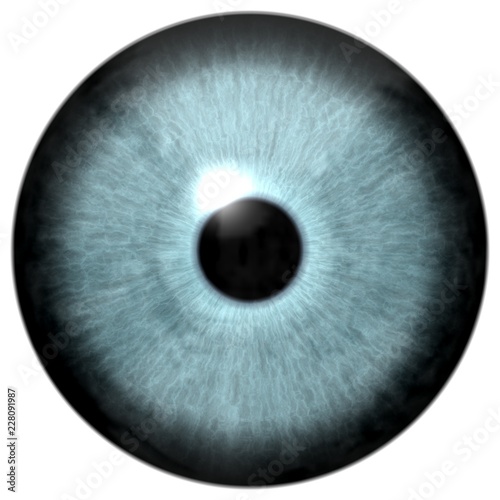 Gray green colorized eye animal texture, 3d viewing eyeball with white background, isolated on white
