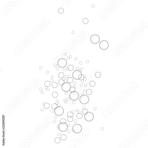 Shower bubbles icon. Realistic illustration of shower bubbles vector icon for web design