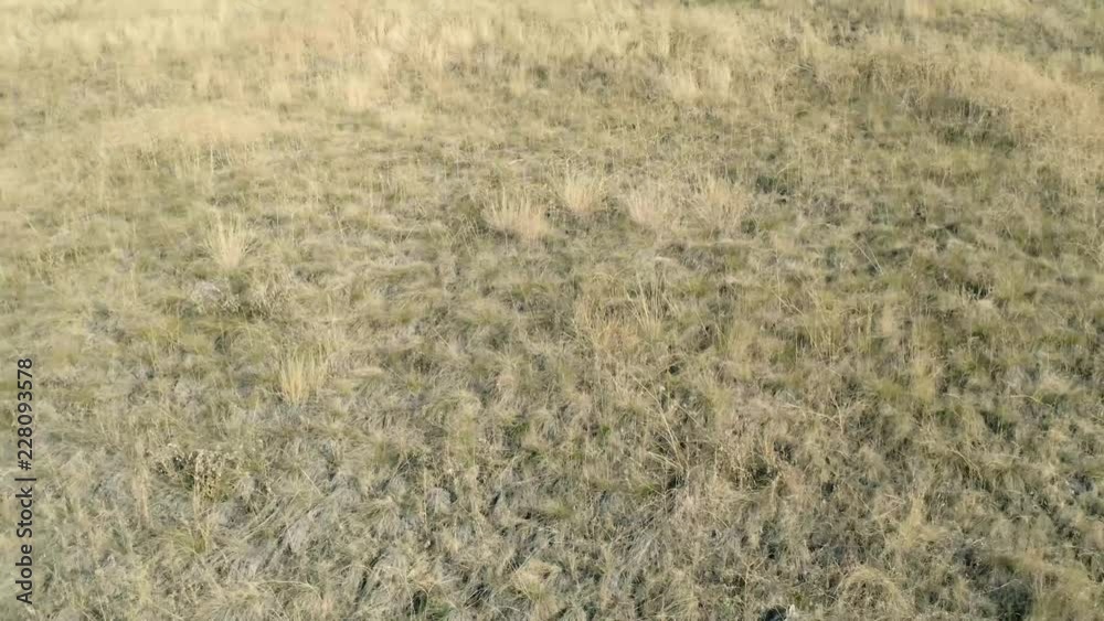 Grassy Hill - Tracking Shot Grassy Hill - Tracking Shot