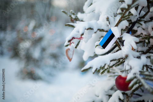 Estonia flag. Christmas background outdoor. Christmas tree covered with snow and decorations and Estonian flag.  New Year / Christmas holiday greeting card. photo