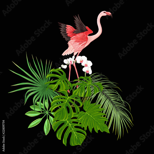 A composition of tropical plants  palm leaves