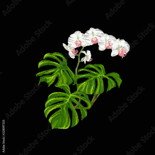 Set of elements for design with tropical plants