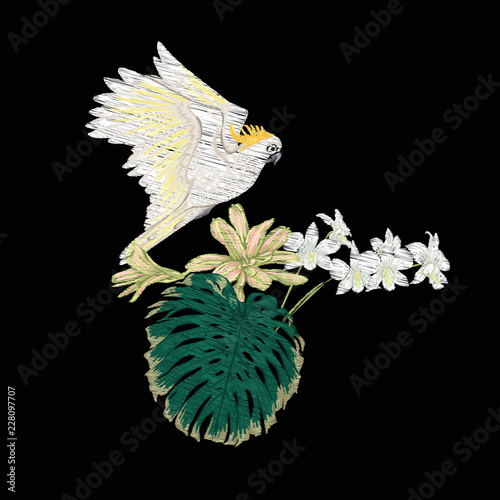 Set of elements for design with tropical plants