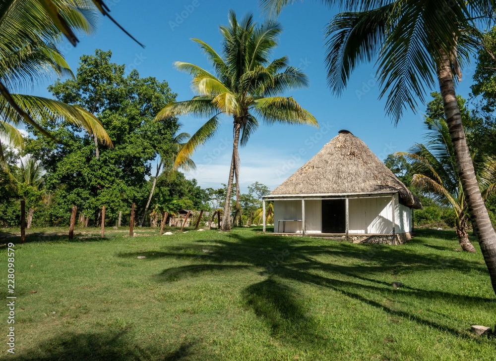 Thatched Roof House and Palm Trees