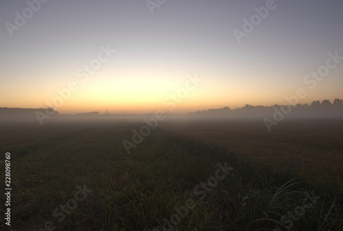 sunrise  over a foggy field