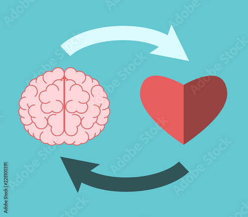 Heart, brain, circular interaction