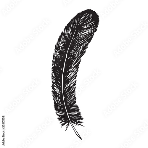 Black feather, hand drawn doodle, sketch outline, vector illustration