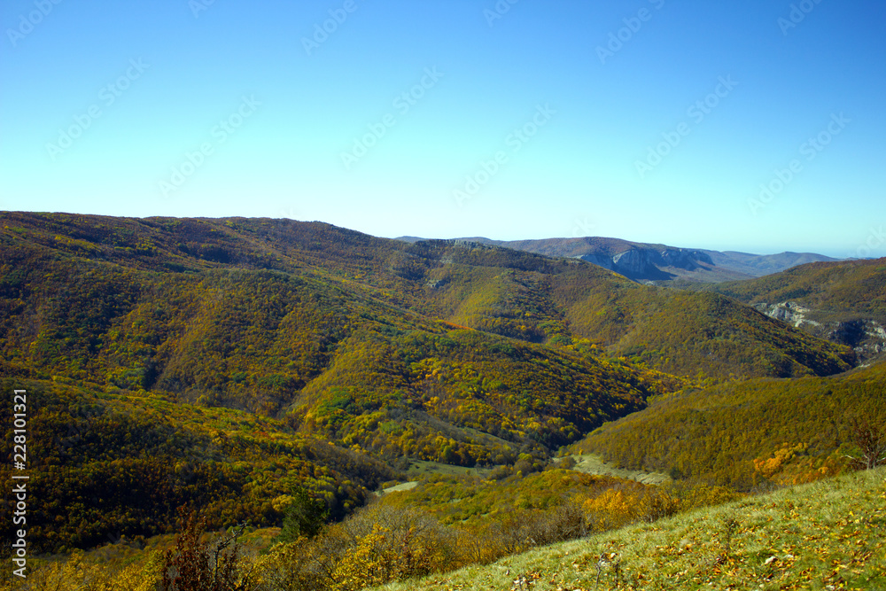 Autumn season. Forest in the fall. Picturesque mountain ranges in red and yellow colors. Beautiful autumn mountain landscape. 
