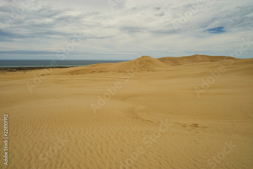 Sand dunes on coast