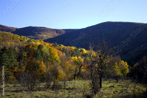 Autumn landscape. Mountains in the fall with yellow-red trees. Mountain forest in the fall. 