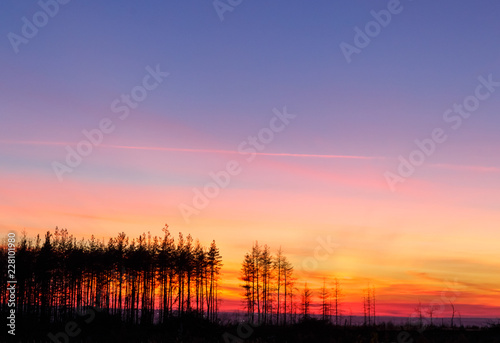 Bright colorful sunset over the forest.