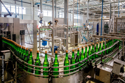 bottles with champagne wine are moving along the conveyor at the factory of grape and sparkling wine