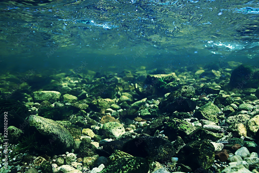 underwater mountain clear river / underwater photo in a freshwater