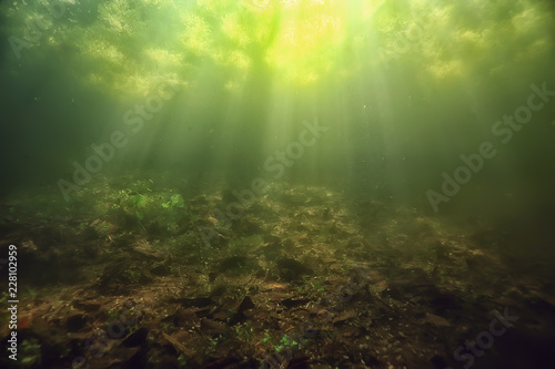 underwater freshwater green landscape / underwater landscape of the lake ecosystem, algae, green water, fresh water © kichigin19