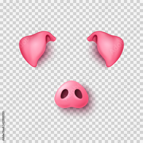 Realistic 3d pig nose and ears
