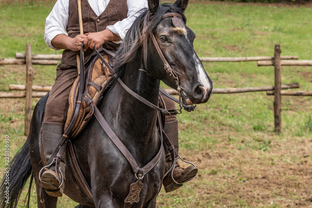 Fototapeta premium Hunting party, horse riding in posh, elegant countryside mansion. Ranch lifestyle, noble sporting, outdoor activity with horses. Equestrian business people.