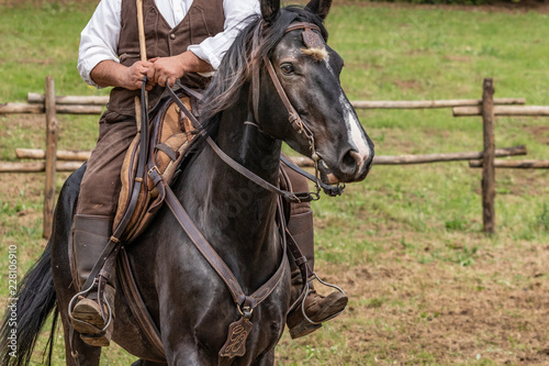 Hunting party, horse riding in posh, elegant countryside mansion. Ranch lifestyle, noble sporting, outdoor activity with horses. Equestrian business people. © Edward R