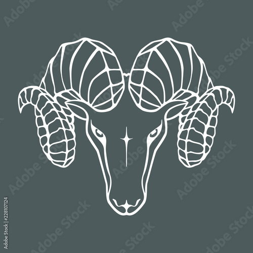 Aries graphic icon. Head ram white sign isolated on gray background. Symbol argali. Vector illustration