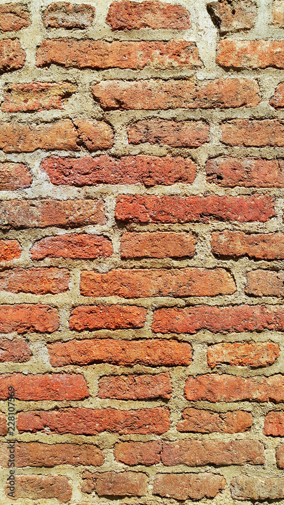 Obraz premium Texture of ancient red brick wall
