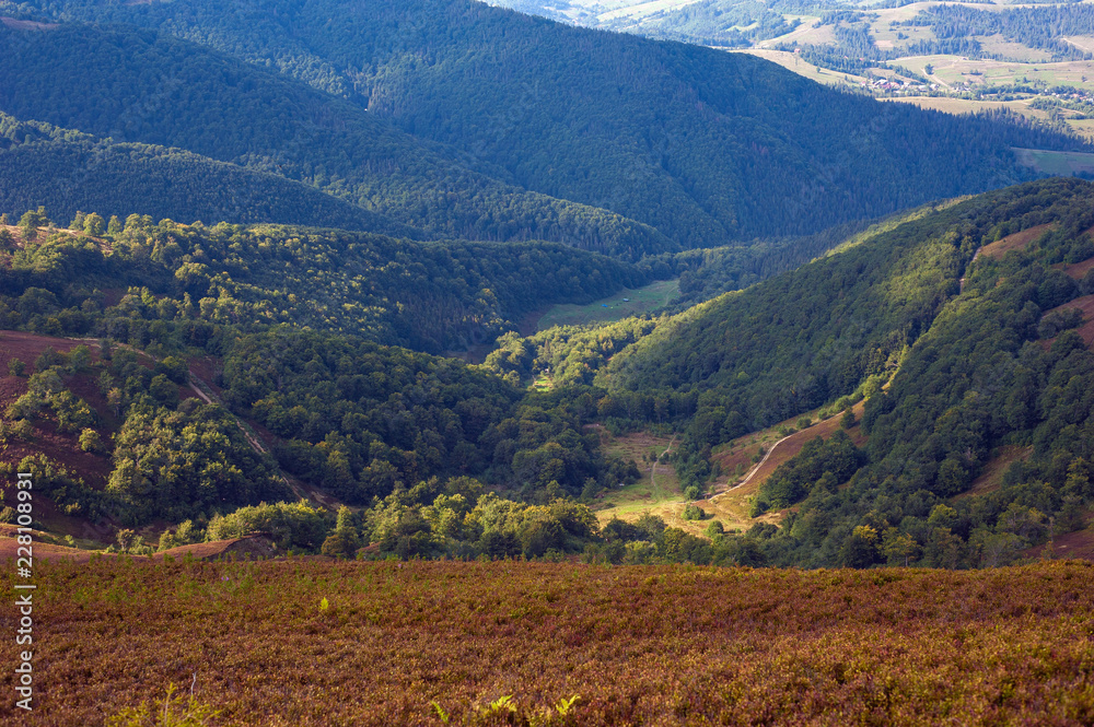 Obraz premium Beautiful view of the Borzhavsky mountain range, Ukraine. Panorama of mountain valley on a sunny summer day.