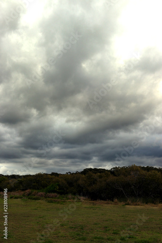 Dramatic Storm clouds over grassy fields in Portrait
