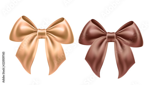 Vector satin bow knot for celebration holiday