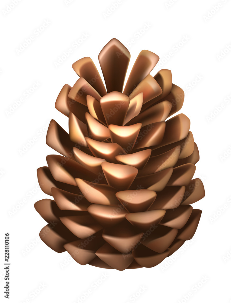 Vector realistic pine cone christmas new year Vector realistic pine cone christmas new year