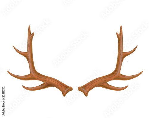 Vector reindeer antlers  deer horns realistic logo